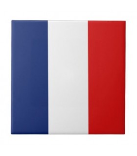 Bandera plástico de Francia