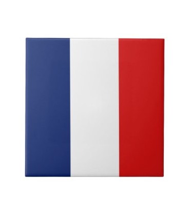 Bandera plástico de Francia