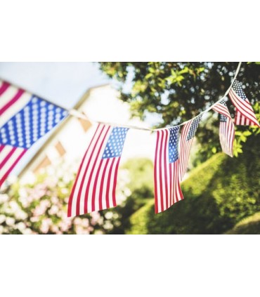 Bolsa Bandera plastico EEUU