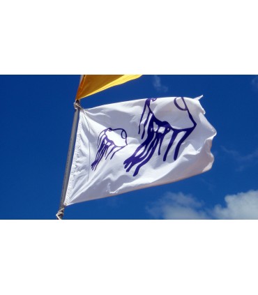 Bandera Medusas