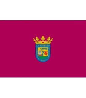 Bandera de Alava Ciudad