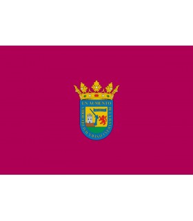 Bandera de Alava Ciudad