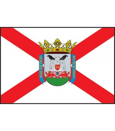 Bandera de Vitoria Ciudad