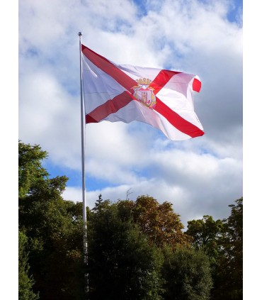 Bandera de Vitoria Ciudad