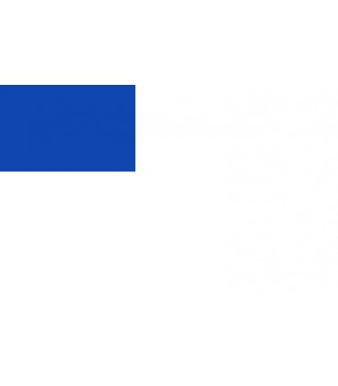 Bandera de San Sebastián Ciudad