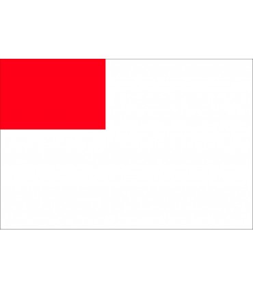 Bandera de Bilbao Ciudad