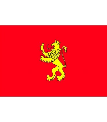 Bandera de Zaragoza ciudad