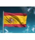 Bandera España con escudo