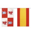 Bandera de plástico España con Castila Leon