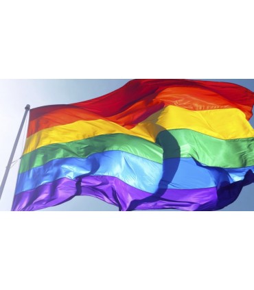 Bandera Gay Economica