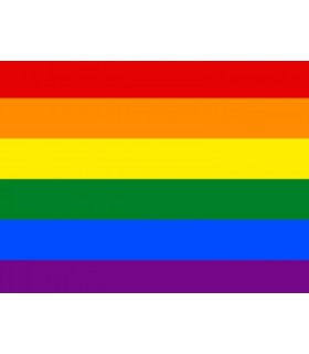 Bandera Gay Economica