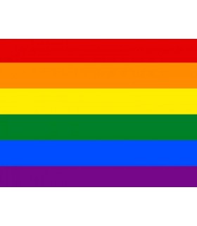 Bandera Gay Economica
