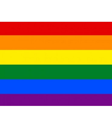 Bandera Gay Economica