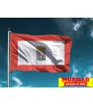 Bandera de Gijón Ciudad