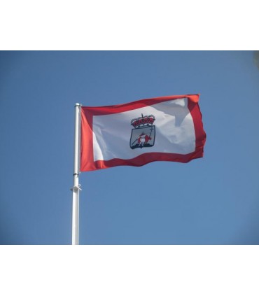 Bandera de Gijón Ciudad