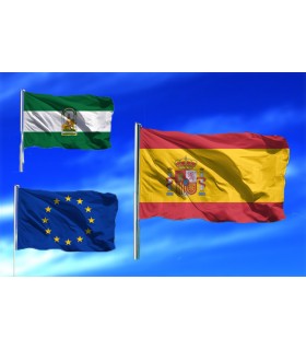Lote de Banderas de Andalucía