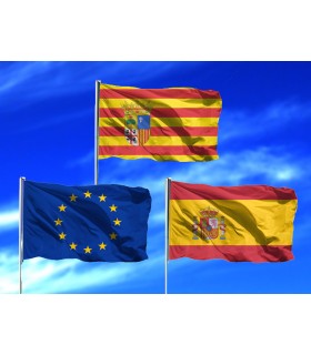 Lote de Banderas de Aragón