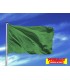 Comprar Bandera verde de playa