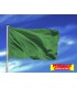 Comprar Bandera verde de playa