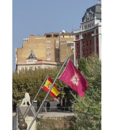 Bandera de León ciudad