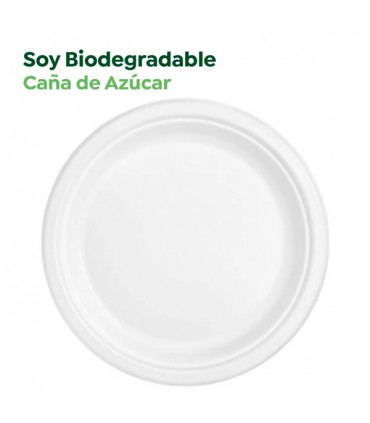 Plato llano 22 cm caña de azúcar