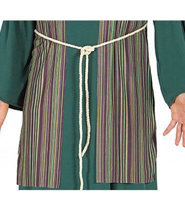 Disfraz de Pastor Verde