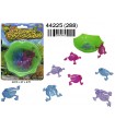 Ranas saltarinas